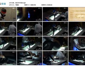 疯狂科学家Ⅲ