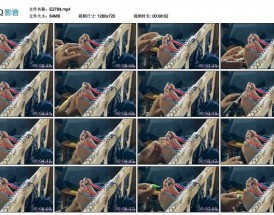 挠脚心视频blibli（咖啡女仆挠脚心视频）
